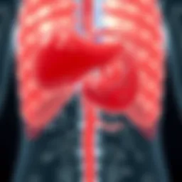 Detailed diagram illustrating the metastatic pathways of gallbladder cancer