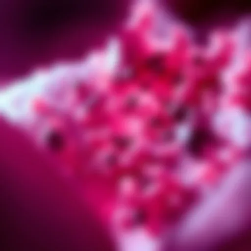 Microscopic Analysis of Thymic Cancer Microscopic view of thymic cancer cells