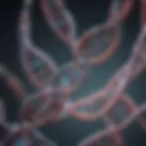 Illustration of DNA methylation patterns