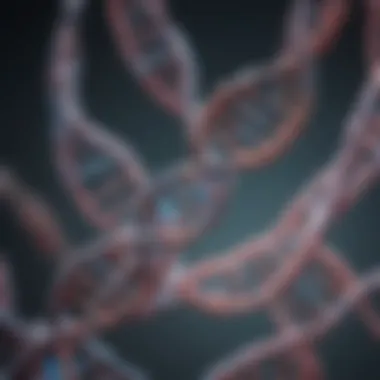 Understanding DNA Methylation Patterns Illustration of DNA methylation patterns