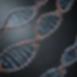 Illustration of methylation patterns along a DNA strand