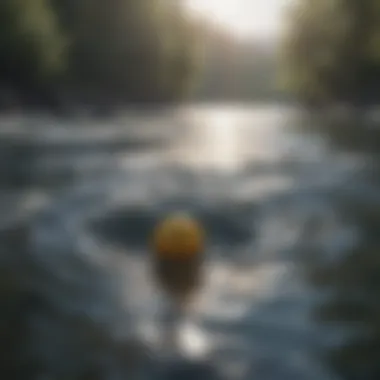 Frameworks Ensuring Water Safety and Quality Regulatory frameworks for water safety
