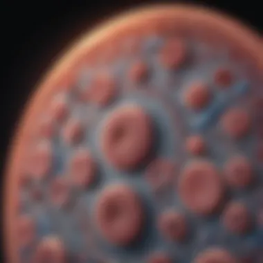 Regulatory Mechanisms of Mitosis Diagram showing regulatory mechanisms in cell division