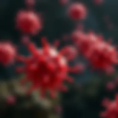 Myeloid Cells and Immune Response Myeloid cells in immune response