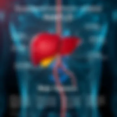 Prevalence and Risk Factors of NAFLD Infographic depicting the prevalence and risk factors of NAFLD