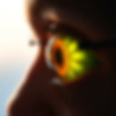 Visual representation of the effects of retinitis pigmentosa on vision