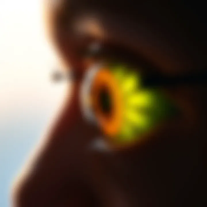 Visual representation of the effects of retinitis pigmentosa on vision