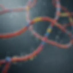 A detailed illustration of genetic markers associated with autism.