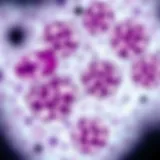 Microscopic view of neuroendocrine tumor cells showcasing distinct histological features.