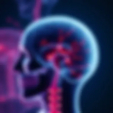 Neurological Pathways Involved in TMJ Disorders Diagram illustrating the neurological pathways affected by TMJ disorders