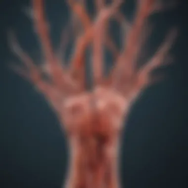 Effects of Neuropathy on the Nervous System Visual representation of neuropathy effects on the nervous system