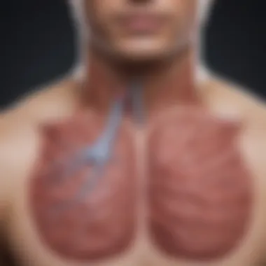 Effects of Nitric Oxide on Pulmonary Vasodilation Diagram illustrating the effects of nitric oxide on pulmonary vasodilation