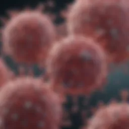 Mechanisms of nivolumab action against HCC