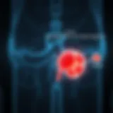 Progression of NAFLD to NASH and Cirrhosis Diagram illustrating the progression of NAFLD to NASH and cirrhosis