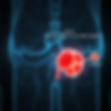 Progression of NAFLD to NASH and Cirrhosis Diagram illustrating the progression of NAFLD to NASH and cirrhosis