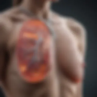Diagnostic imaging for lung cancer detection