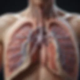 Lung structure highlighting areas affected by NSIP