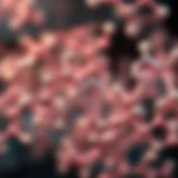 Chemical structure of Omega 3 fatty acids