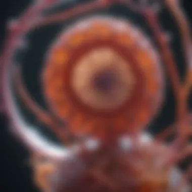 Magnified observation of organoid development Microscopic view of organoid growth