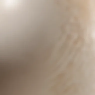 Detailed View of an Ostrich Eggshell Close-up of ostrich eggshell
