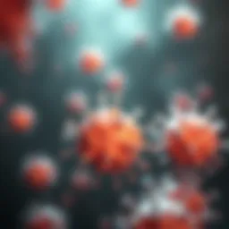 Illustration of antibiotic action on bacteria