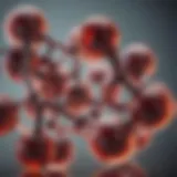 Molecular structure of oxozeaenol illustrating its polyphenolic characteristics