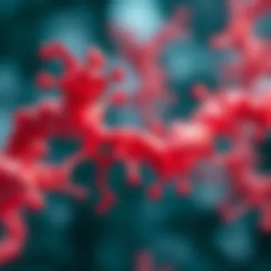 Illustration of phosphatase inhibition by pervanadate