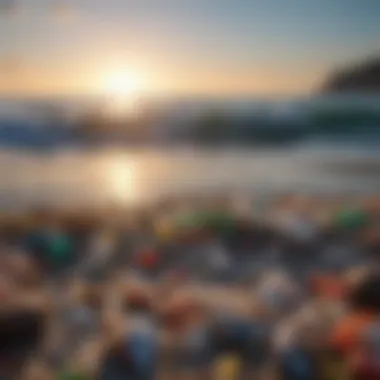 Impacts of Plastic Pollution on Ocean Ecosystems Ocean ecosystem affected by plastic pollution