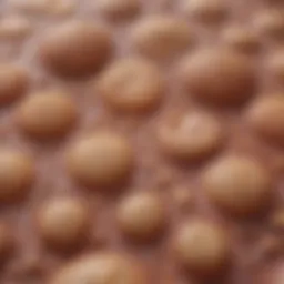 Illustration depicting the texture of porosis skin