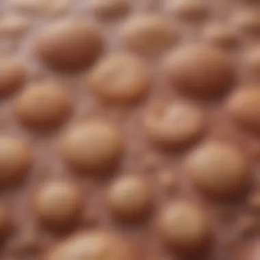 Illustration depicting the texture of porosis skin