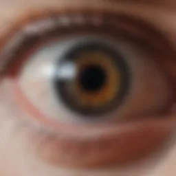 Diagram of the eye's anatomy after surgery