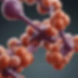 Illustration of proanthocyanidins structure