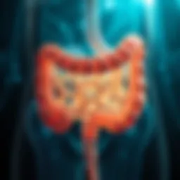 Illustration of gut microbiota diversity