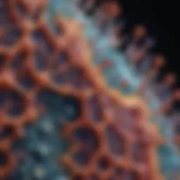 Microscopic view showcasing cellular structures stained with propidium iodide