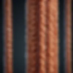 Illustration of Protein A affinity column structure