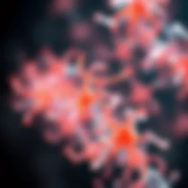 Visual representation of protein-peptide interactions identified through phage display