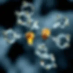 Molecular structure of pure oxygen