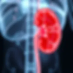 Detailed illustration of renal cell carcinoma characteristics