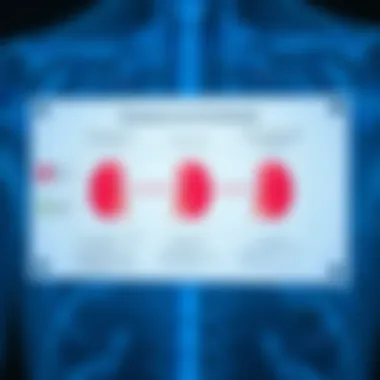 Diagram illustrating the relationship between renal function and test results