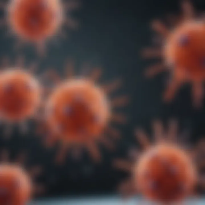 Research applications of Akt phosphorylation antibodies