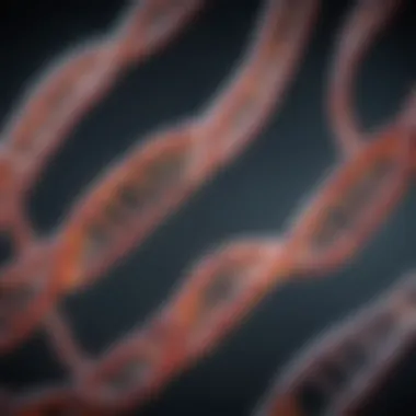 Applications of RNA Sequencing in Research Applications of RNA sequencing in research