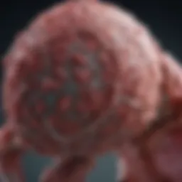 ROS1 and Lung Cancer: An In-Depth Exploration Introduction