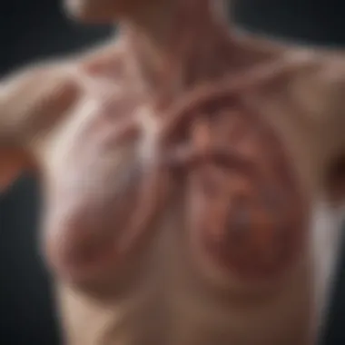 ROS1 and Lung Cancer: An In-Depth Exploration Summary