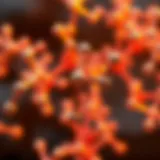 Chemical Structure of Selinexor Detailed view of Selinexor chemical structure