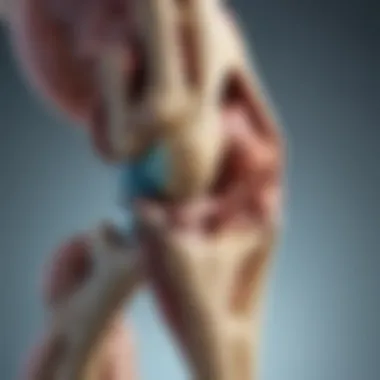 An illustration depicting the anatomy of a healthy knee joint