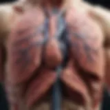 Detailed illustration of lung anatomy highlighting tumor locations
