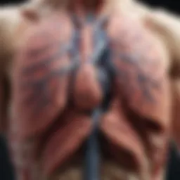 Detailed illustration of lung anatomy highlighting tumor locations