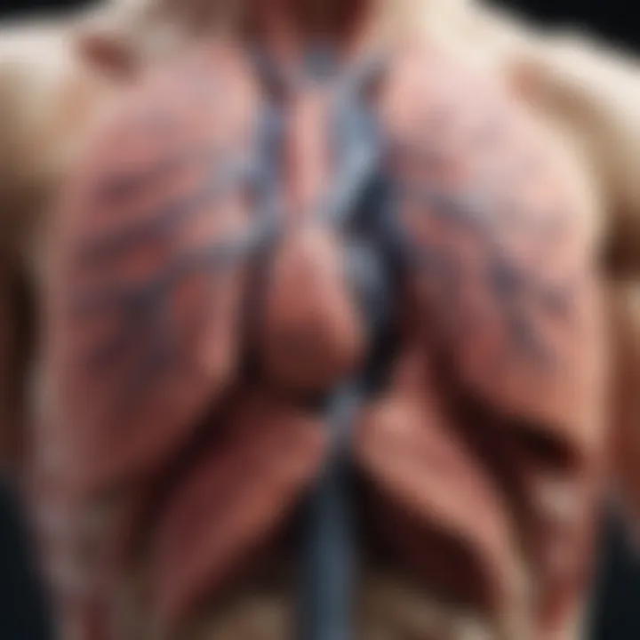 Detailed illustration of lung anatomy highlighting tumor locations