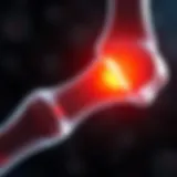 Illustration of the inflammatory phase in bone healing