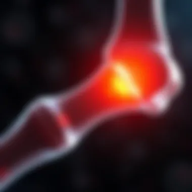 Illustration of the inflammatory phase in bone healing